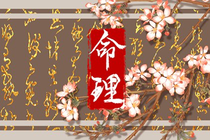 每日老黄历_老黄历吉日吉时查询_黄历查询2026